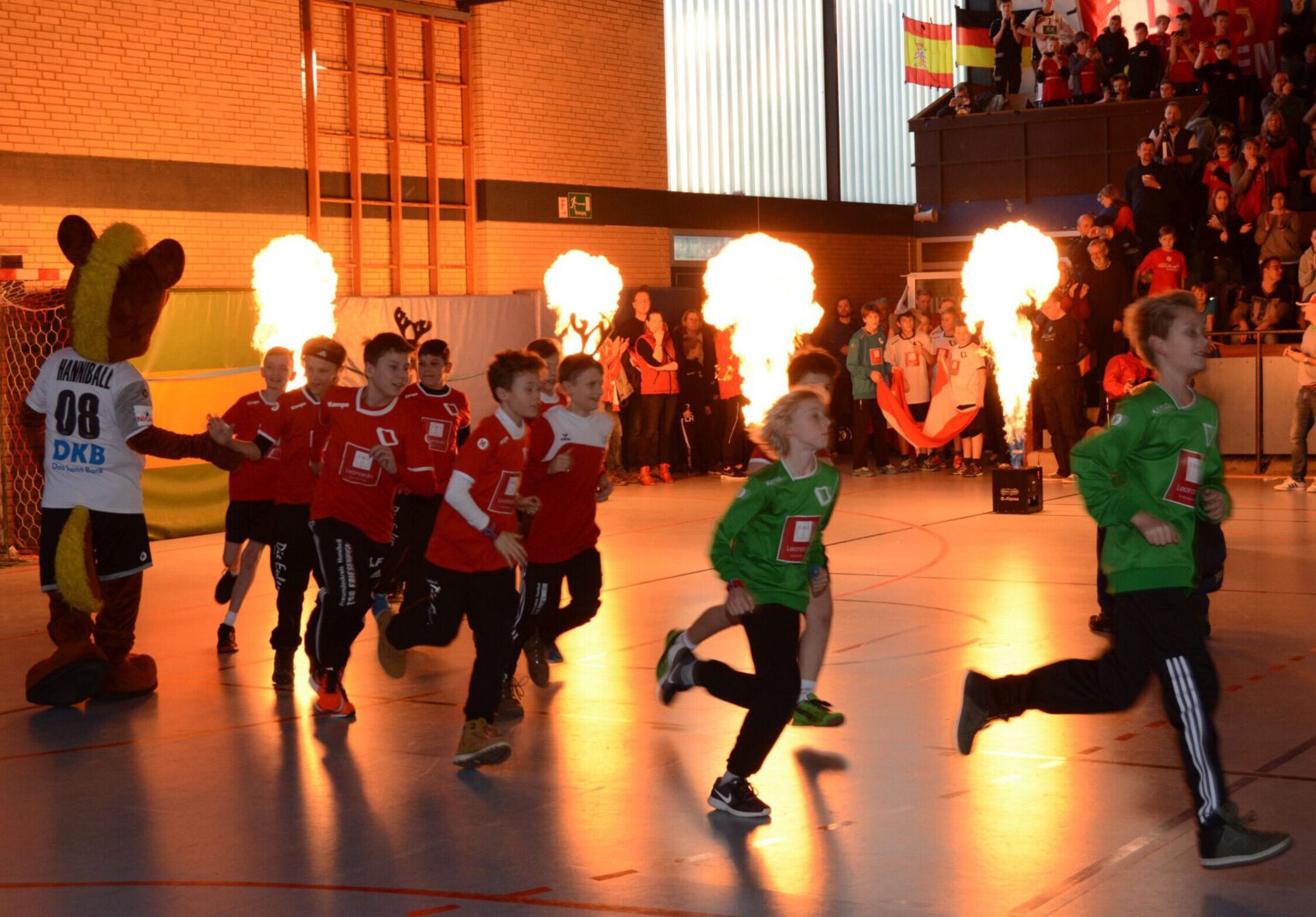 Handball Im TSV Anderten – Handball Für Die Ganze Familie